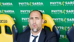 Udinese, Tudor: “Mandragora? Devo fare delle scelte. Okaka sempre più pronto”