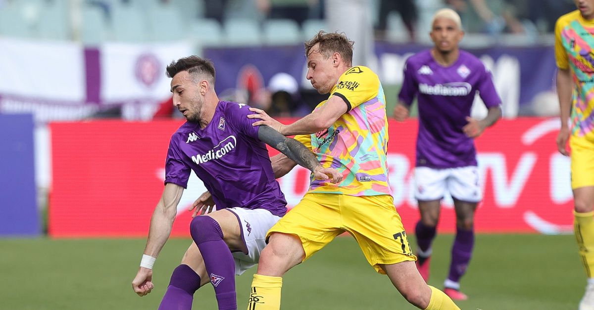 Semplici “Zurkowski è un giocatore di grandissimo valore” Viola News