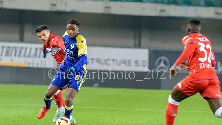 Cuore Gialloblù, vince Tameze Cuore Gialloblù, vince Tameze - immagine 1