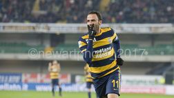Verona-Pisa, i convocati gialloblù