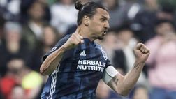 D’Amico: “Ibrahimovic farebbe comodo a tante squadre italiane”