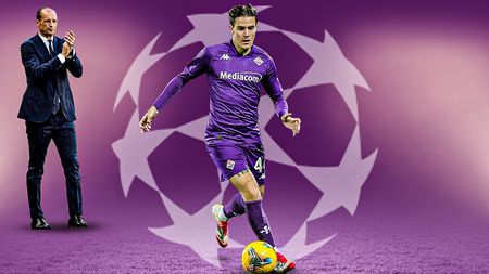 grafica fagioli allegri