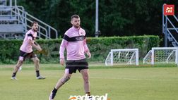 Palermo, verso il Parma: Brunori parzialmente in gruppo. Broh, marconi e Sala…