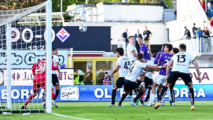 Spezia-Fiorentina 1-2: Cabral regala una tanto attesa vittoria ai viola - immagine 1