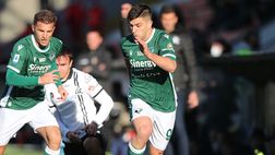 Verona verso la Salernitana, la ripresa per i gialloblù