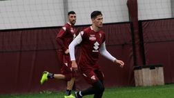Toro, salgono le quotazioni di Lukic: a Cagliari verso la prima da titolare