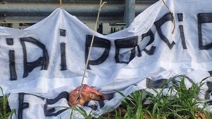 Spal (foto La Nuova Ferrara) 