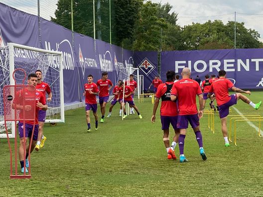 Fiorentina, decidi cosa vuoi fare da grande. Rialzarsi o restare a terra?- immagine 2