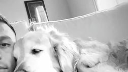 VIDEO / Alexis Sanchez, coccole sul divano con i suoi cani