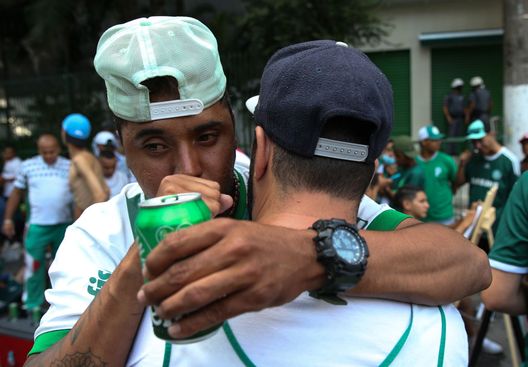 Palmeiras (getty images) Palmeiras (getty images)