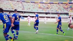 Verona umiliato in Coppa Italia, il Bari ne fa 4 al Bentegodi