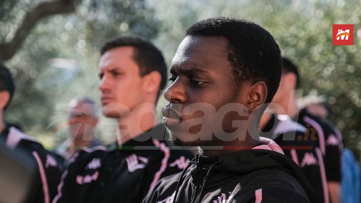 SONDAGGIO PALERMO: chi ti ha convinto tra gli acquisti del calciomercato estivo?  Palermo