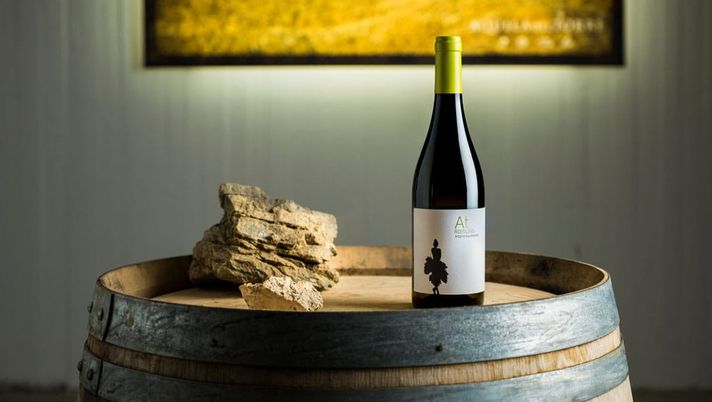 Scopri Aquila del Torre, gioiello enologico disponibile su Vinumitaly.it - immagine 1