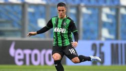 Raspadori, arrivano conferme: solo 2 milioni di distanza tra Napoli e Sassuolo