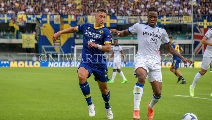 Mercato Verona, per Terracciano si fa avanti l’Inter  Mercato Verona, per Terracciano si fa avanti l’Inter - immagine 1