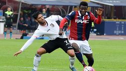 Bologna, i convocati per il Verona