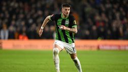 Brighton, Moder: “Proveremo a battere la Roma, possiamo fare 4 gol”