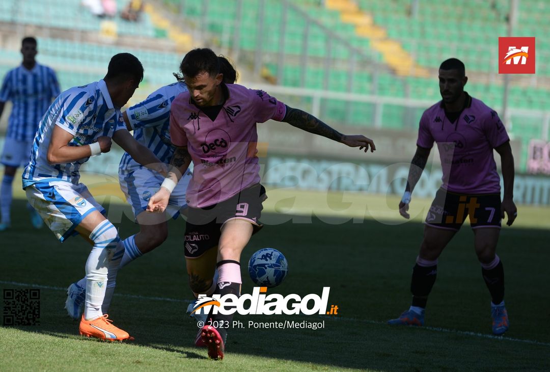 FOTO Palermo-Spal 2-1, 36ª giornata di Serie B 2022-2023 (GALLERY) - immagine 3