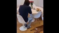 VIDEO/ Colazione a casa Ibra: musica a tutto volume e il cane…