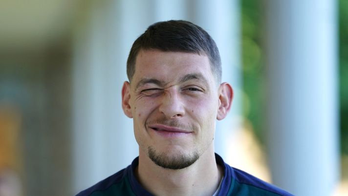 Belotti Belotti