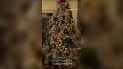 VIDEO / A casa di Zoe e Theo è ancora Natale: che addobbi!