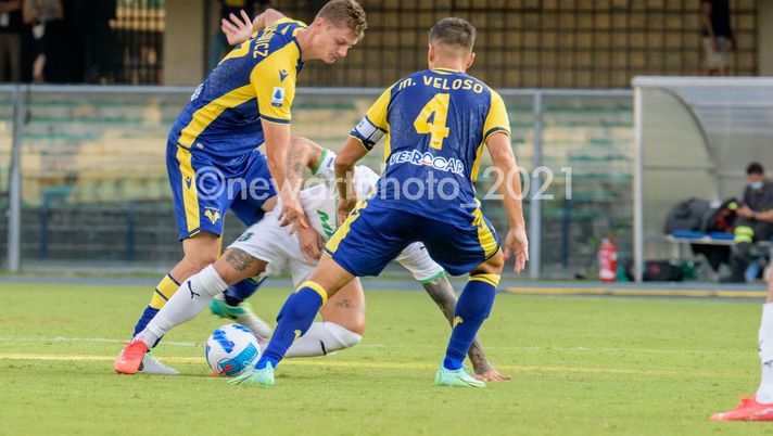 Sutalo out, Verona a Bologna con Dawidowicz  Sutalo out, Verona a Bologna con Dawidowicz