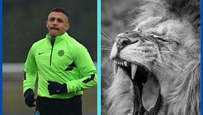 Inter, Vanni: “Sanchez, regalo social a Klopp. A meno che non si tratti di pretattica” - immagine 1