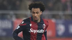 Come sta Zirkzee? Ecco la riposta dell’allenatore Thiago Motta | VIDEO