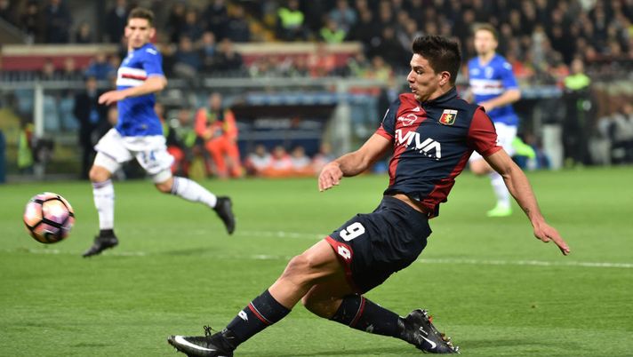 Argentina, Simeone: “Lotterò con Icardi per un posto in Nazionale. Ecco cosa mi ripete mio padre…”  Argentina, Simeone: “Lotterò con Icardi per un posto in Nazionale. Ecco cosa mi ripete mio padre…”