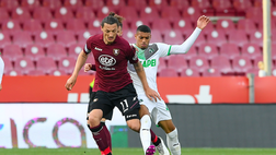 Mercato Verona, arriva Djuric