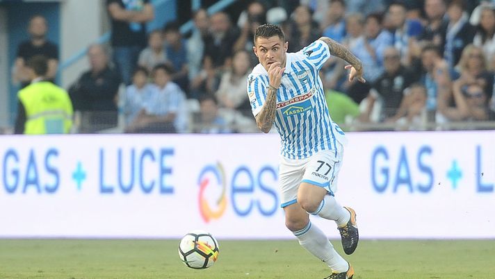 Federico Viviani   Federico Viviani