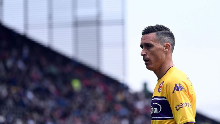 Fiorentina, il contratto di Callejon è in scadenza: il club riflette sul suo futuro 