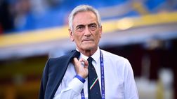 Figc, tesseramenti possibili per giovani ucraini in ambito dilettantistico
