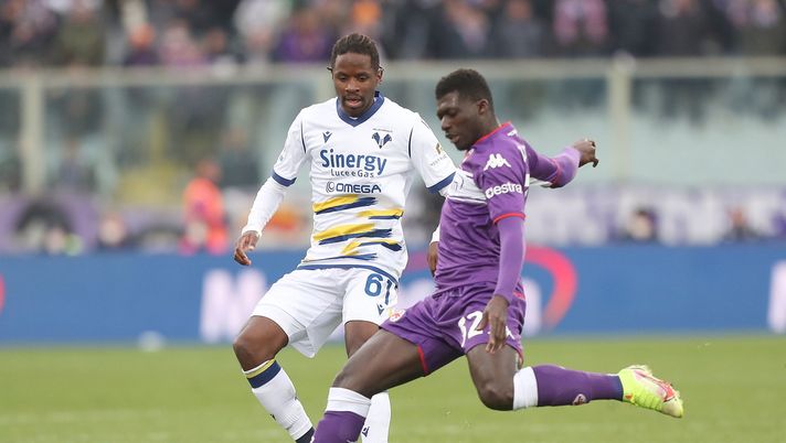 FLORENCE, ITALY - MARCH 06: Alfred Duncan of ACF Fiorentina battles for the ball with Adrien Fidele Tameze Aoutsa of Hellas Verona during the Serie A match between ACF Fiorentina and Hellas Verona FC at Stadio Artemio Franchi on March 6, 2022 in Florence, Italy. (Photo by Gabriele Maltinti/Getty Images) FLORENCE, ITALY - MARCH 06: Alfred Duncan of ACF Fiorentina battles for the ball with Adrien Fidele Tameze Aoutsa of Hellas Verona during the Serie A match between ACF Fiorentina and Hellas Verona FC at Stadio Artemio Franchi on March 6, 2022 in Florence, Italy. (Photo by Gabriele Maltinti/Getty Images)
