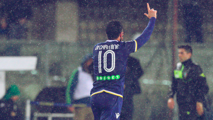 Foto Grigolini-Fotoexpress Foto Grigolini-Fotoexpress