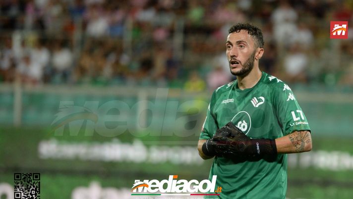 Ag. Pigliacelli: “Palermo, corri ai ripari. Tanti buoni giocatori, non una squadra”  Ag. Pigliacelli: “Palermo, corri ai ripari. Tanti buoni giocatori, non una squadra” - immagine 1