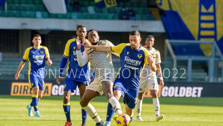 Verona verso il Napoli, l’allenamento dei gialloblù - immagine 1