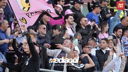 FOTOTIFO Palermo-Benevento 1-1, gli scatti ai tifosi al “Renzo Barbera” (Gallery)