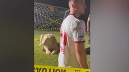 VIDEO/ Manolas spaventato dal leone alla presentazione allo Sharjah