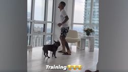 VIDEO Toronto, la nuova vita di Insigne: si allena nel soggiorno del suo grattacielo