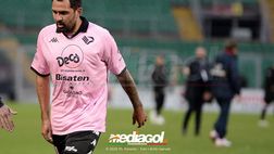 Palermo, rebus condizione e caos calendario: Filippi lavora sul 3-4-2-1 in vista della Casertana. I dettagli