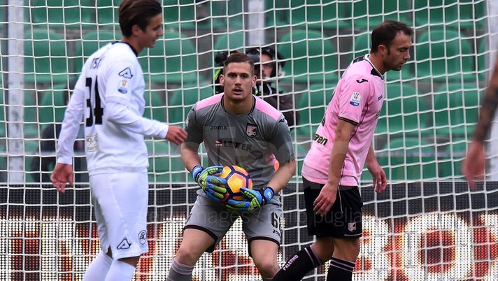 Bortoluzzi: “Posavec e Fulignati alla pari, voglio loro risposta” Bortoluzzi: “Posavec e Fulignati alla pari, voglio loro risposta”