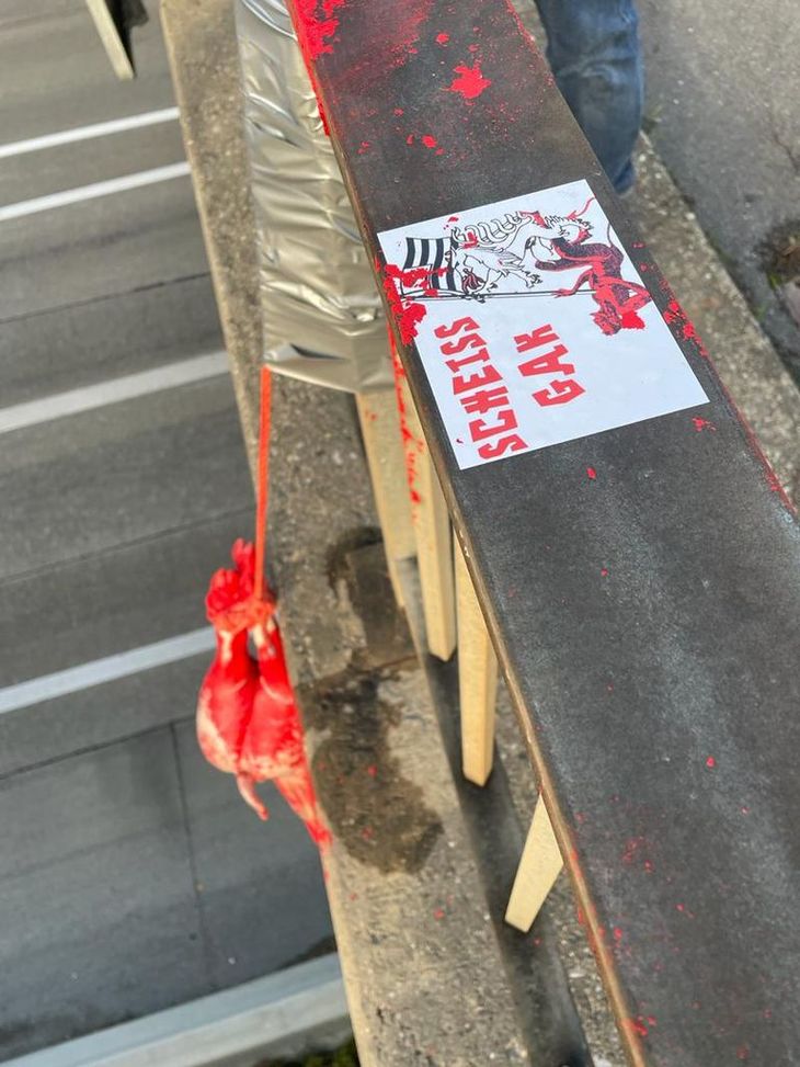 Derby di Graz, il guanto di sfida è un maiale insanguinato appeso ad un ponte stradale- immagine 2