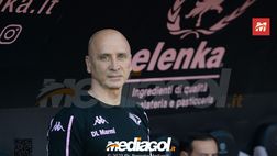 Palermo, verso il Cagliari: venerdì 12 maggio mister Corini in conferenza stampa