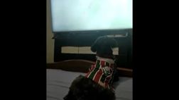 VIDEO/ Guarda la partita ed “esulta”! È il cane più tifoso della storia?