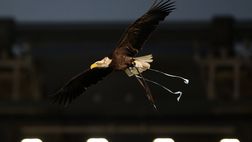 Lazio-Juve, la nota della società per i tifosi presenti nel Settore Sud