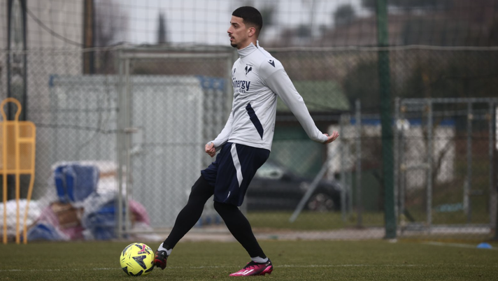 Hellas Verona FC  Verona verso lo Spezia, l’allenamento dei gialloblù - immagine 1