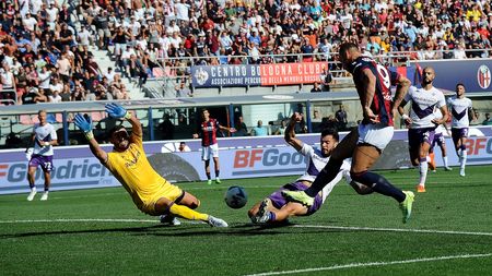 Bologna Fiorentina