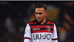 Torino, tegola Edera: i tempi di recupero
