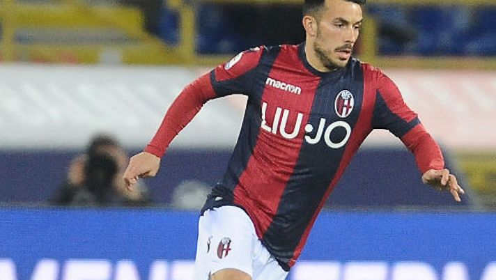 Bologna, buone notizie dagli esami per Sansone. Ma in difesa è emergenza totale - immagine 1